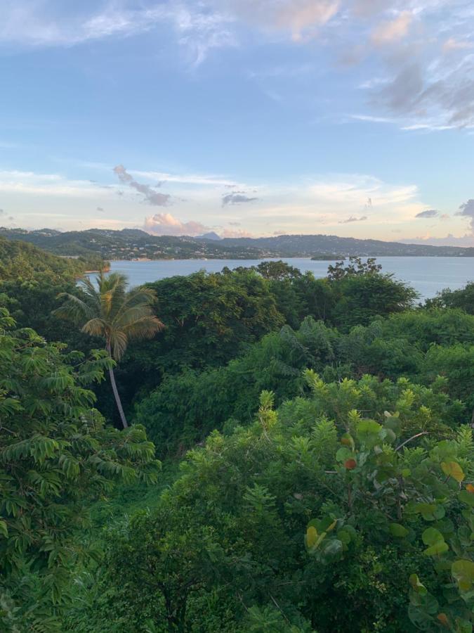 Kay Nou Apartments Gros Islet Eksteriør billede